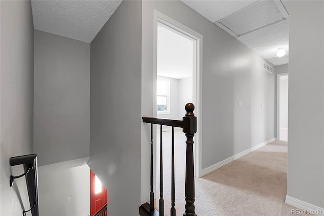 3653 E 133rd Ct, Thornton, CO 80241 - stairway featuring carpet, baseboards, and a textured ceiling