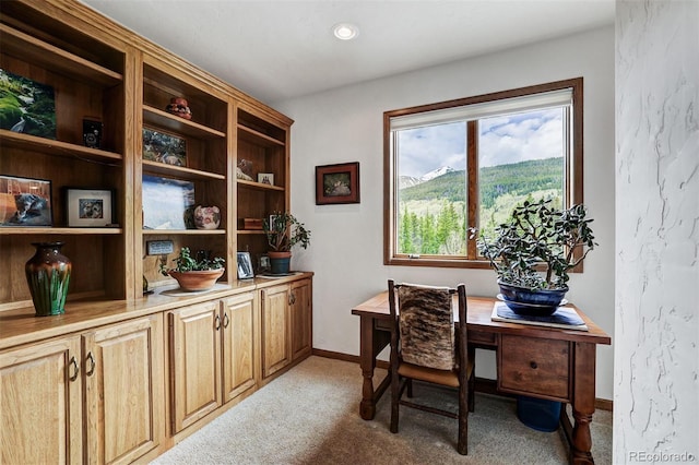 322 Davis Ct, Breckenridge, CO 80424 - home office with light carpet and baseboards