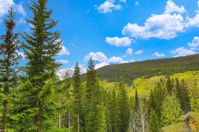 322 Davis Ct, Breckenridge, CO 80424 - mountain view featuring a forest