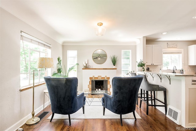 sitting room with dark hardwood / wood-style flooring, sink, and a wealth of natural light