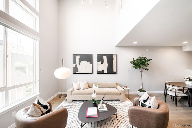 living room with light wood-type flooring and a towering ceiling