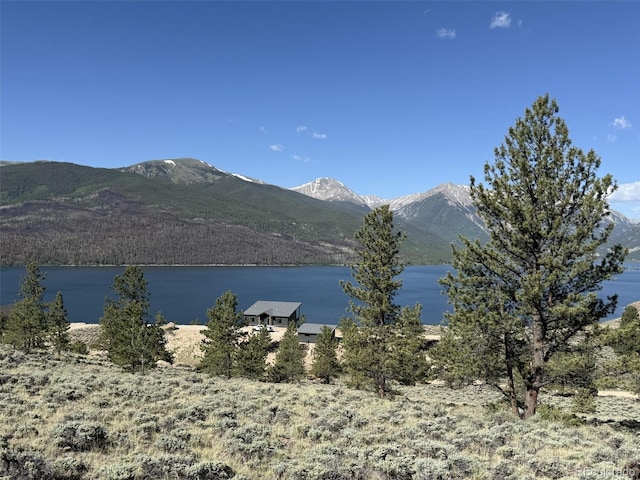 275 Rainbow Dr, Twin Lakes, CO 81251 - photo 5