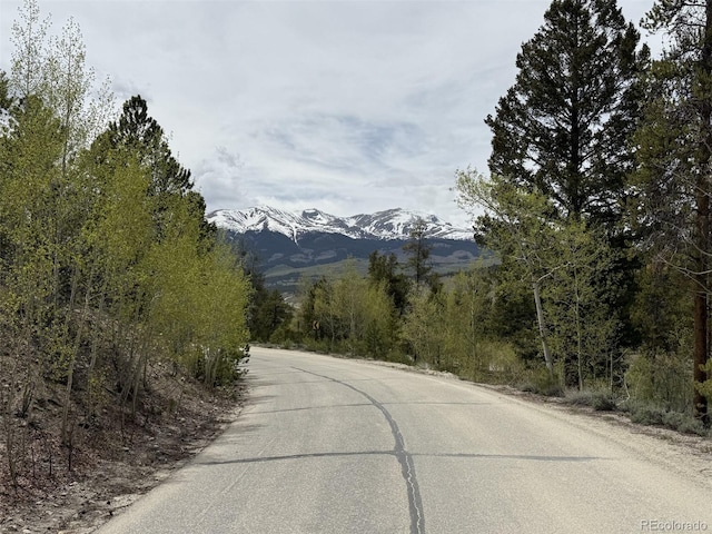 275 Rainbow Dr, Twin Lakes, CO 81251 - photo 17