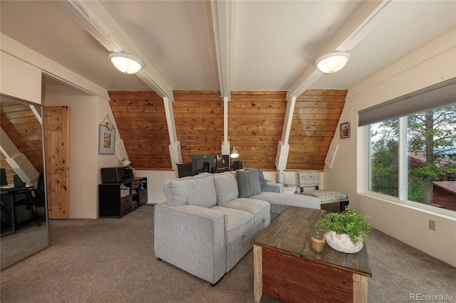 57 Gcr 4056, Granby, CO 80446 - photo 29