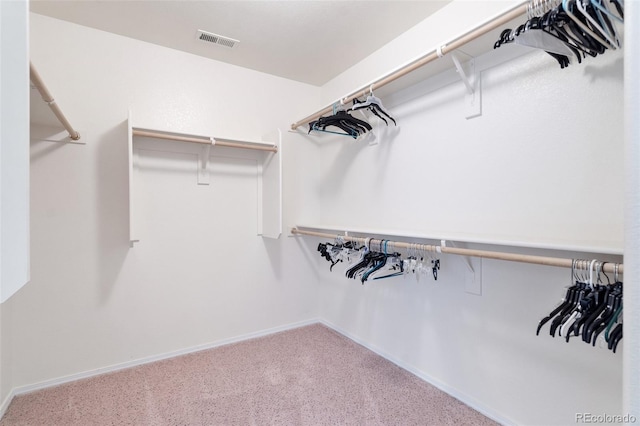 walk in closet featuring carpet flooring