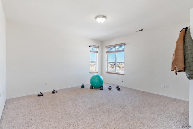 exercise room featuring carpet