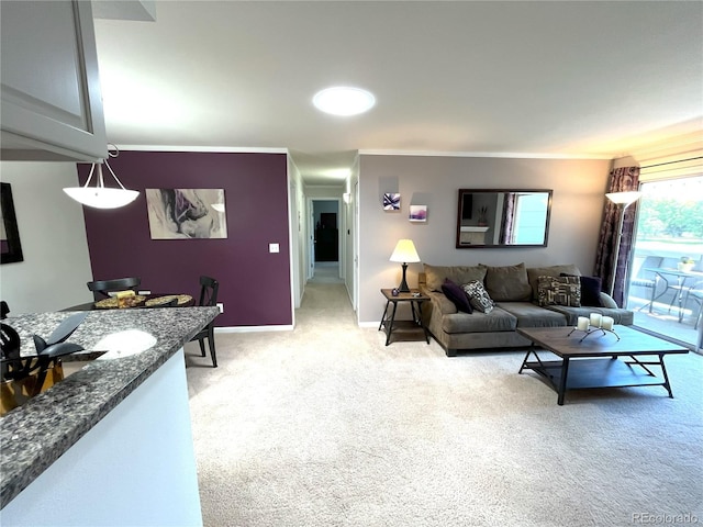 4676 White Rock Cir Unit 12, Boulder, CO 80301 - living area featuring light carpet and ornamental molding