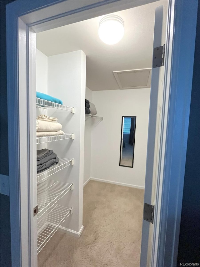 4676 White Rock Cir Unit 12, Boulder, CO 80301 - walk in closet with carpet flooring