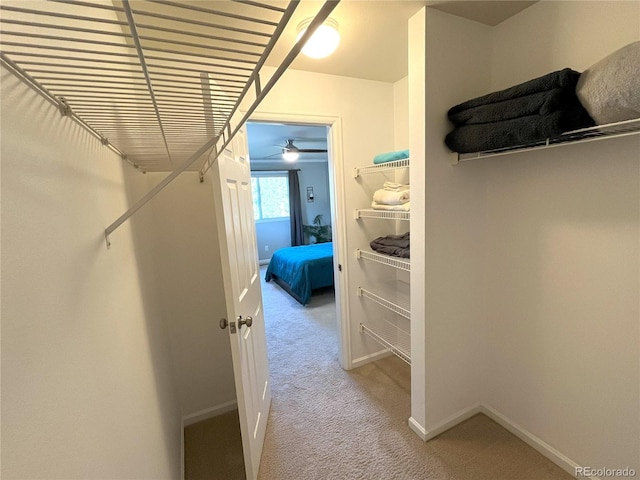4676 White Rock Cir Unit 12, Boulder, CO 80301 - walk in closet featuring carpet floors