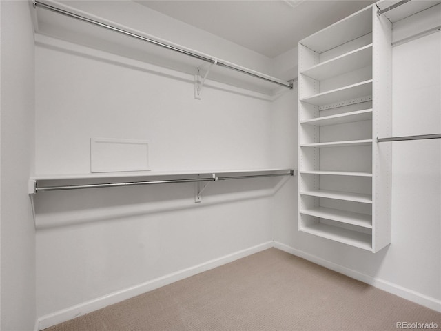 2485 Greensborough Cir, Highlands Ranch, CO 80129 - spacious closet with carpet flooring