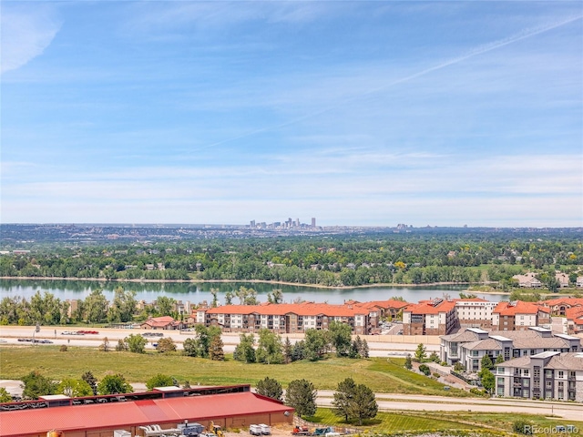 2485 Greensborough Cir, Highlands Ranch, CO 80129 - aerial view of a large body of water