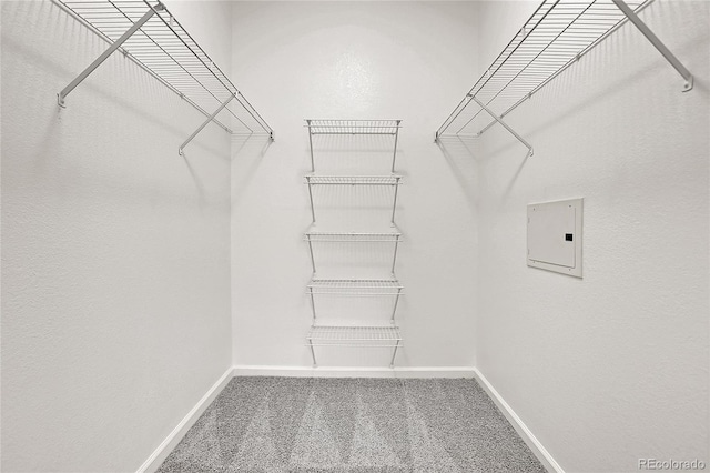 spacious closet featuring carpet flooring and electric panel