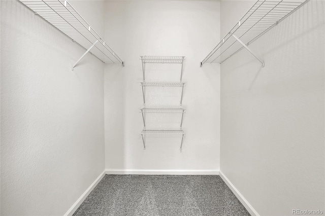 walk in closet with carpet