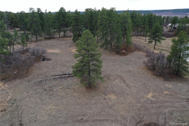 1561 Arrowpoint Ct, Franktown, CO 80116 - photo 2