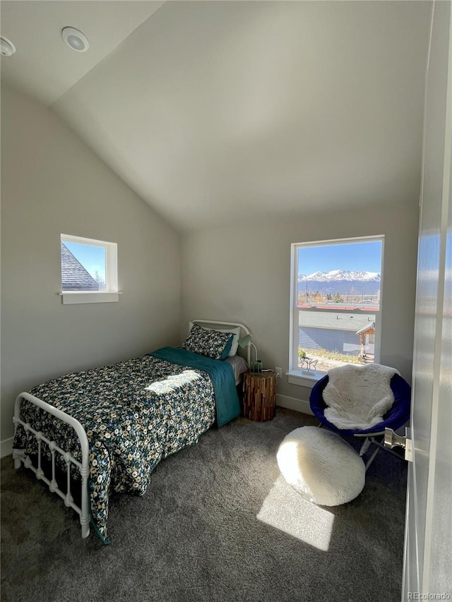 1309 Grand Review Dr, Leadville, CO 80461 - photo 21