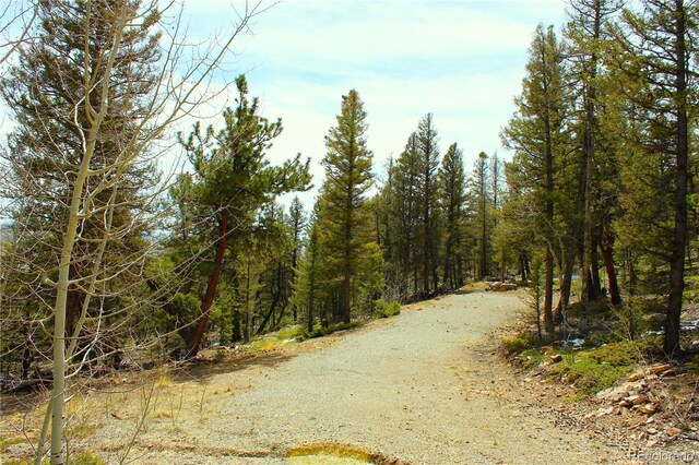 2882 Middle Fork Vis, Fairplay, CO 80440