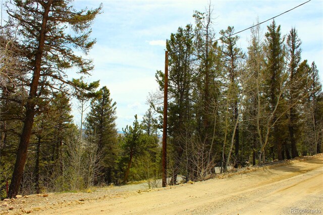 2882 Middle Fork Vis, Fairplay, CO 80440