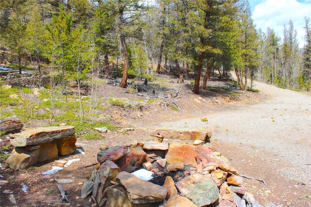 2882 Middle Fork Vis, Fairplay, CO 80440