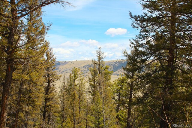 2882 Middle Fork Vis, Fairplay, CO 80440