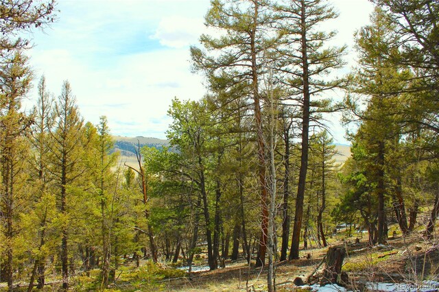 2882 Middle Fork Vis, Fairplay, CO 80440