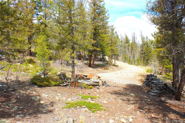 2882 Middle Fork Vis, Fairplay, CO 80440