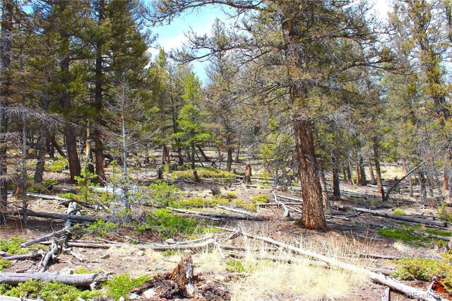 2882 Middle Fork Vis, Fairplay, CO 80440