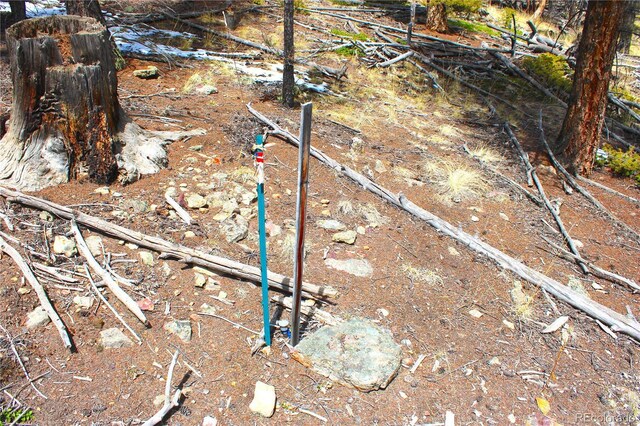 2882 Middle Fork Vis, Fairplay, CO 80440