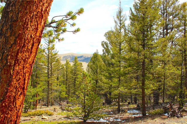 2882 Middle Fork Vis, Fairplay, CO 80440