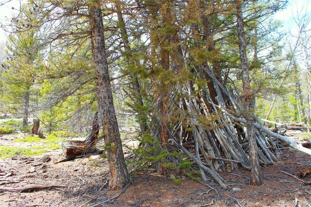 2882 Middle Fork Vis, Fairplay, CO 80440