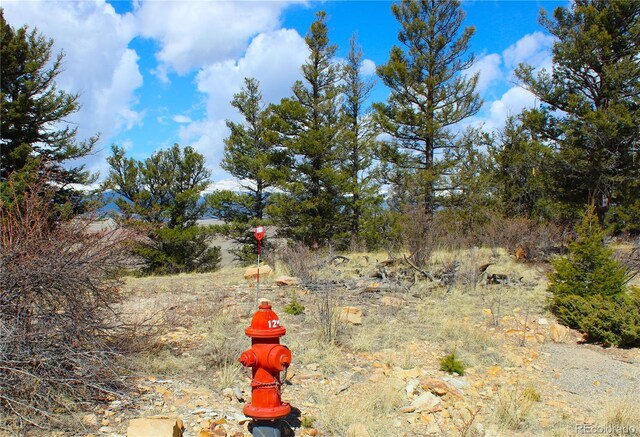2882 Middle Fork Vis, Fairplay, CO 80440