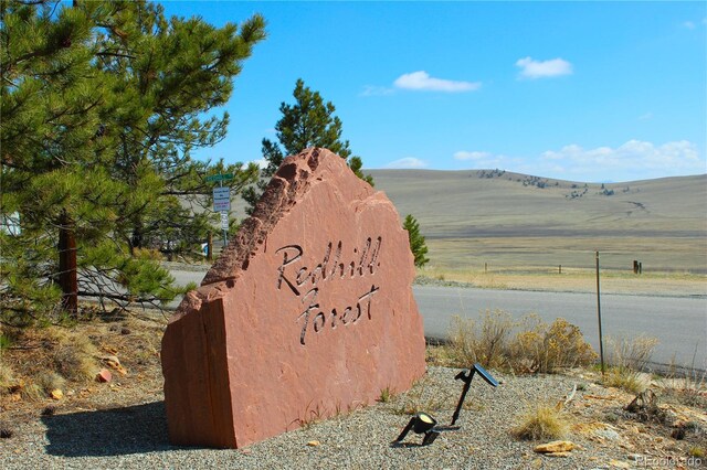 2882 Middle Fork Vis, Fairplay, CO 80440