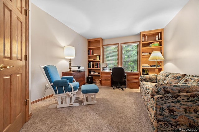 3656 W 100th Ave, Westminster, CO 80031 - photo 15