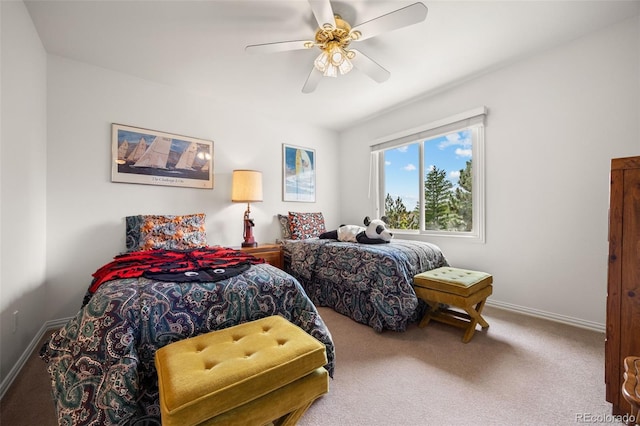 3656 W 100th Ave, Westminster, CO 80031 - photo 29