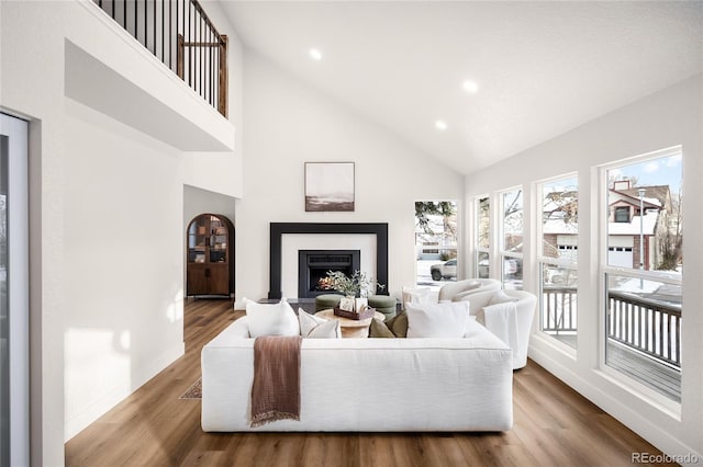 living room with wood-type flooring and high vaulted ceiling