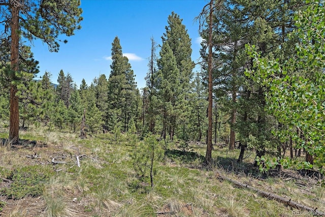 927 Forest Dr, Bailey, CO 80421 - photo 1