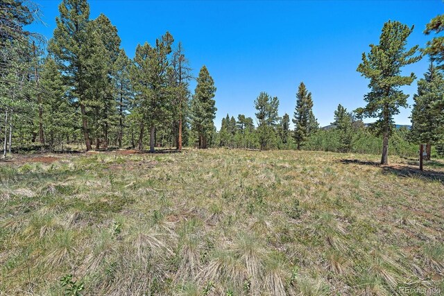927 Forest Dr, Bailey, CO 80421 - photo 2