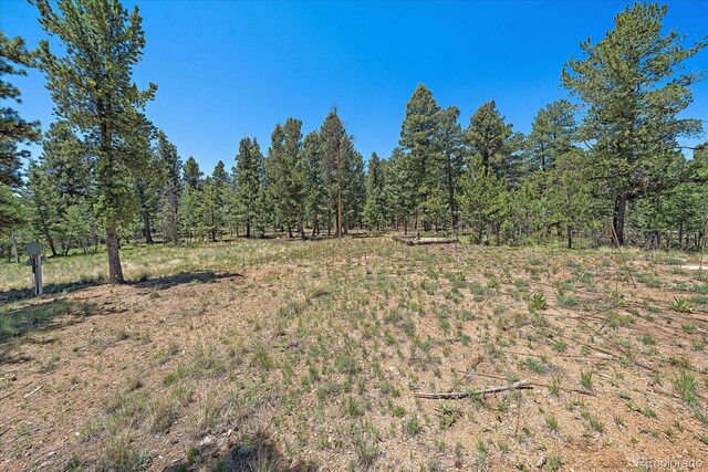 927 Forest Dr, Bailey, CO 80421 - photo 3