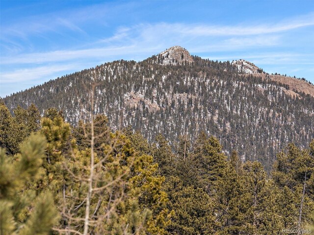 927 Forest Dr, Bailey, CO 80421 - photo 4