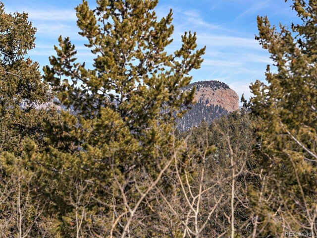 927 Forest Dr, Bailey, CO 80421 - photo 5