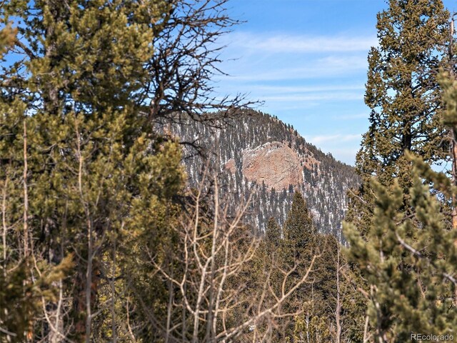 927 Forest Dr, Bailey, CO 80421 - photo 6