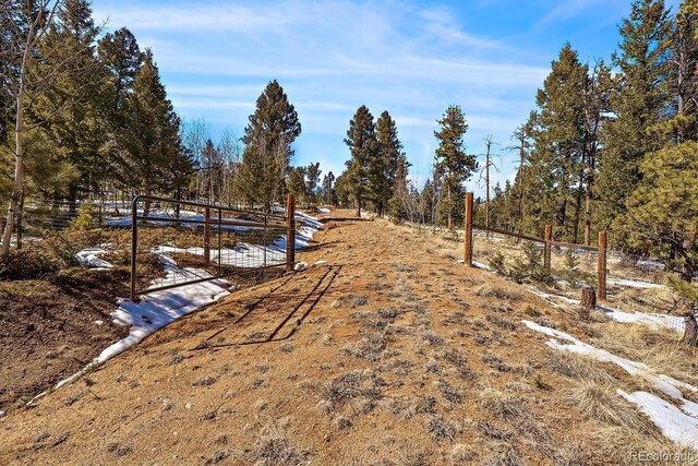 927 Forest Dr, Bailey, CO 80421 - photo 7