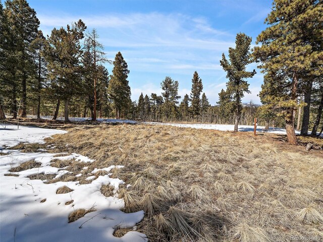 927 Forest Dr, Bailey, CO 80421 - photo 9