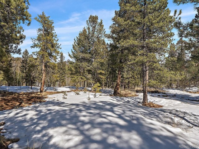 927 Forest Dr, Bailey, CO 80421 - photo 10