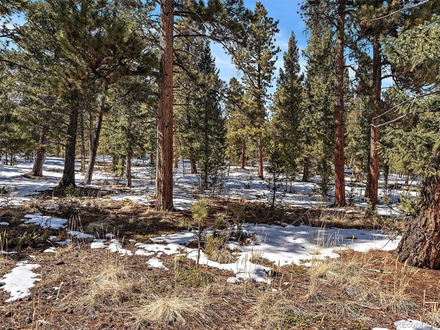 927 Forest Dr, Bailey, CO 80421 - photo 11