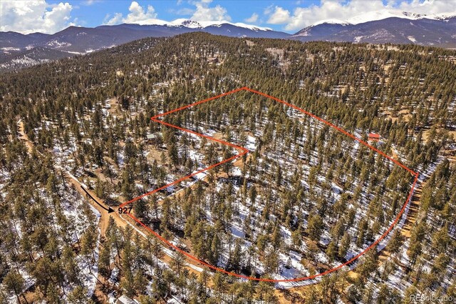 927 Forest Dr, Bailey, CO 80421 - photo 13