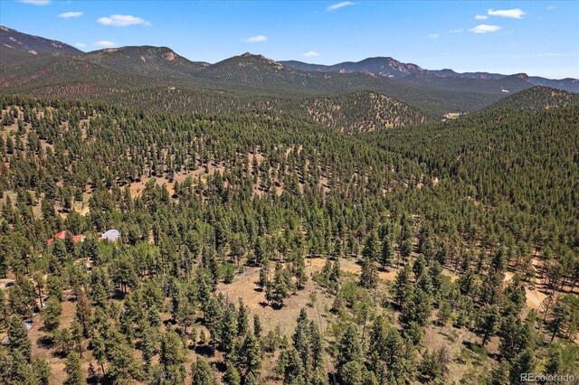 927 Forest Dr, Bailey, CO 80421 - photo 15