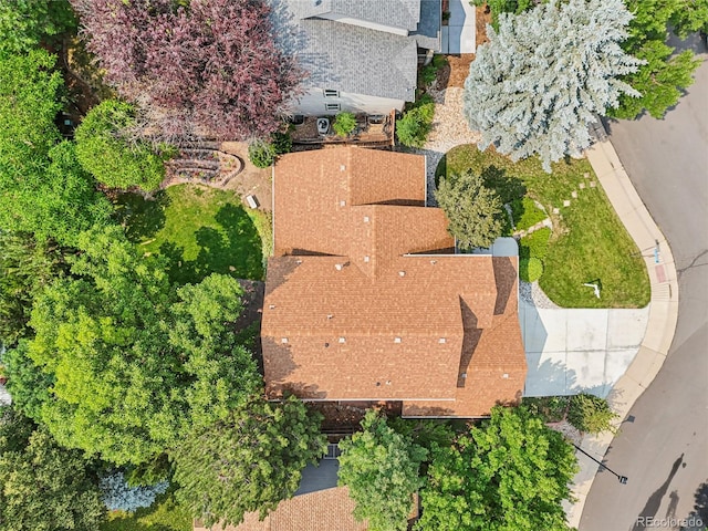 1201 Dover Ct, Broomfield, CO 80020 - photo 42