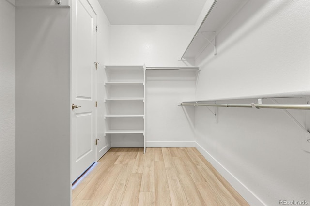 6129 E 143rd Ave, Thornton, CO 80602 - spacious closet featuring light wood-style floors