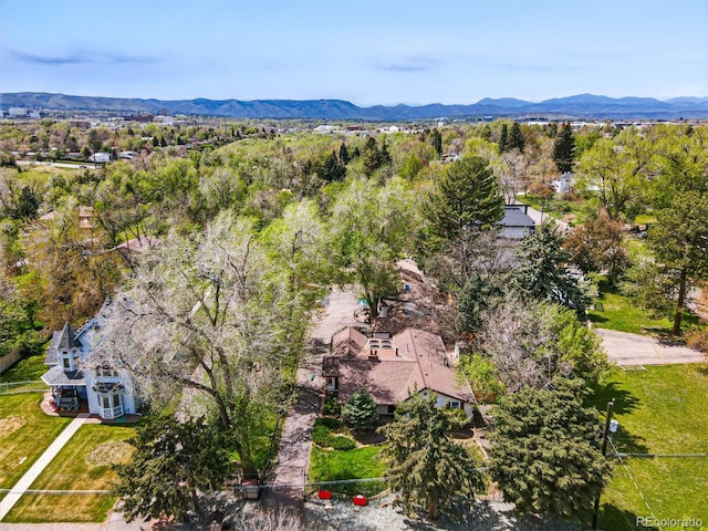 1051 Independence St, Lakewood, CO 80215 - photo 49