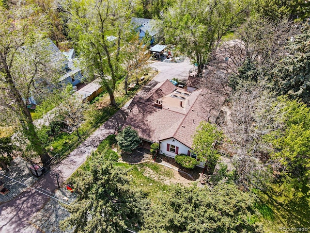 1051 Independence St, Lakewood, CO 80215 - photo 10